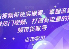 热门短视频带货实战 掌握流量密码 做热门视频 打造有流量的短视频带货账号