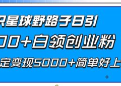 知识星球野路子日引300+白领创业粉,日稳定变现5000+简单好上手!