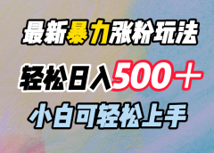 最新暴力涨粉玩法，轻松日入500＋，小白可轻松上手