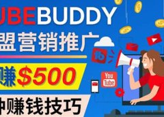 推广TubeBuddy联盟营销项目,完全免费的推广方法,轻松月赚500美元