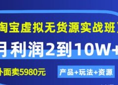 《淘宝虚拟无货源实战班》线上第四期:月利润2到10W+(产品+玩法+资源)