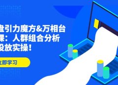 达摩盘引力魔方&万相台投放课:人群组合分析,高效投放实操