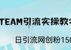 ST TEAM引流实操课，日引流网创粉100+