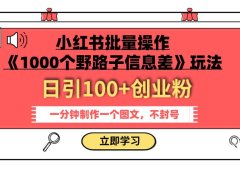 小红书批量操作《1000个野路子信息差》玩法 日引100+创业粉 一分钟一个图文