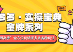 拼多多·实操宝典:金牌系列“小白到高手”带你全方位玩转拼多多各种玩法