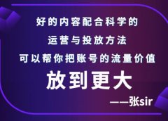 张sir账号流量增长课,告别海王流量,让你的流量更精准