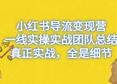 小红书导流变现营，一线实战团队总结，真正实战，全是细节，全平台适用