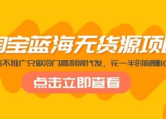 淘宝蓝海无货源项目，不囤货不推广只做冷门高利润代发