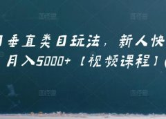 虚拟项目垂直类目玩法,新人快速起店,月入5000+【视频课程】