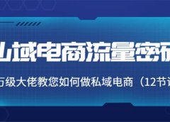 私域电商流量密码:千万级大佬教您如何做私域电商(12节课)
