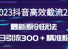 日引300＋创业粉，独家抖音高效截流2.0玩法（价值1280）
