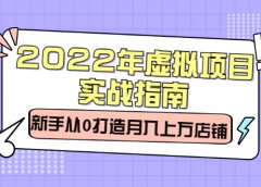 2022年虚拟项目实战指南,新手从0打造月入上万店铺【视频课程】
