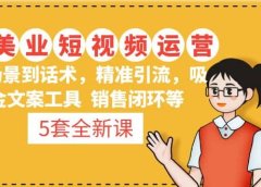 5套·美业短视频运营课 从场景到话术·精准引流·吸金文案工具·销售闭环等