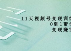好望角·11天视频号变现训练营，从0到1打造变现赚钱系统（价值398）