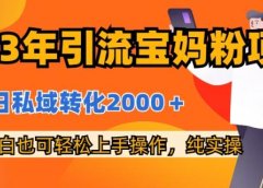 2023年引流宝妈粉项目，单日私域转化2000＋，新手小白也可轻松上手操作，纯实操