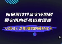 如何通过抖音实现盈利,最实用的账号运营课程 从0到1打造能赚钱的爆款账号