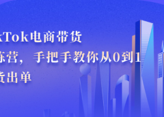 TikTok电商带货训练营,手把手教你从0到1带货出单