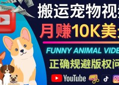 搬运TIKTOK视频到YouTube，并进行二次创作，月赚1万美元以上