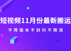 抖音短视频11月份最新搬运技术,不降版本不封抖不限流!【视频课程】