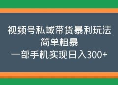 视频号私域带货暴利玩法，简单粗暴