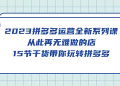 2023拼多多运营全新系列课,从此再无难做的店,15节干货带你玩转拼多多