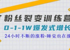 「粉丝裂变训练营」0-1-1w爆发式增长,24小时不断的涨粉-睡觉也在涨-16节课