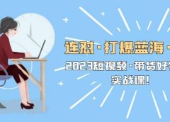 连怼·打爆蓝海·单品，2023短视频·带货好物分享·实战课
