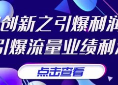 《商业创新之引爆利润增长》引爆流量业绩利润