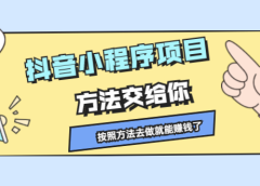 抖音小程序项目,方法交给你,按照方法去做就行了