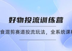 好物推广投流训练营：零食混剪赛道投流玩法，全系统课程