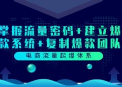 电商流量起爆体系:掌握流量密码+建立爆款系统+复制爆款团队(价值599)