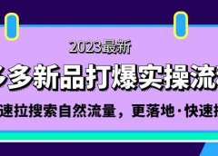 拼多多-新品打爆实操流程:轻松快速拉搜索自然流量,更落地·快速提升