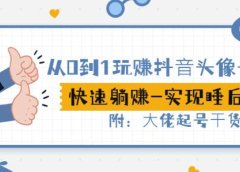 从0到1玩赚抖音头像号:快速躺赚-实现睡后收!附:大佬起号干货!