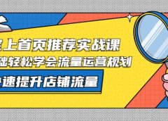 淘宝上首页/推荐实战课:0基础轻松学会流量运营规划,快速提升店铺流量