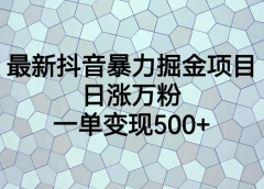 最火热的抖音暴力掘金项目,日涨万粉,多种变现方式,一单变现可达500+
