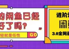 火爆全网的咸鱼玩法进阶课程，咸鱼进阶课程