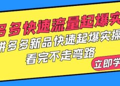 拼多多-快速流量起爆实战,拼多多新品快速起爆实操,看完不走弯路