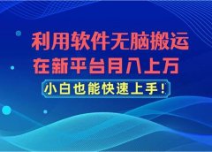 利用软件无脑搬运,在新平台月入上万,小白也能快速上手