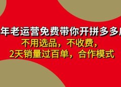 拼多多-合作开店日入4000+两天销量过百单,无学费、老运营教操作、小白...
