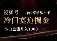 2024视频号冷门赛道掘金,操作简单轻松上手,小白也能月入1000+