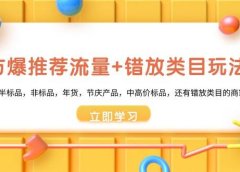 魔方·爆推荐流量+错放类目玩法:适合应季半标品,非标品,年货,节庆产品,中高价标品