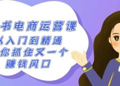 2024小红书-电商运营课，从入门到精通，带你抓住又一个赚钱风口（50节课）
