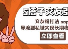 某收费888-S搭子交友引流，交友粉打法 sop，导流到私域实现长期稳定盈利