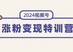 2024视频号-涨粉变现特训营：一站式打造稳定视频号涨粉变现模式（10节）