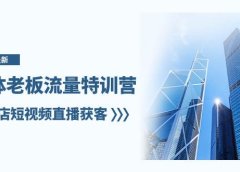 实体老板-流量特训营，实体店短视频直播获客（6节课）