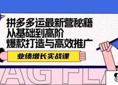 拼多多运最新营秘籍:业绩 增长实战课,从基础到高阶,爆款打造与高效推广