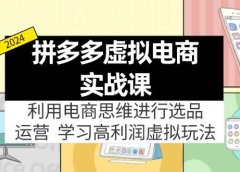 拼多多虚拟电商实战课:虚拟资源选品+运营,高利润虚拟玩法(更新14节)