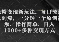 色粉变现新玩法，每日流量大到爆，一分钟一个原创视频，操作简单，日入1000+