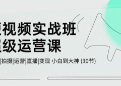 短视频实战班-超级运营课，|剪辑|拍摄|运营|直播|变现 小白到大神 (30节)