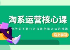 淘系-运营核心课,你学的不是只方法是创造方法的根源(190节课)